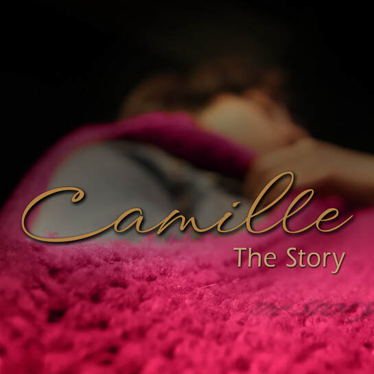 Camille: The Story Poster. This image shows the textures and movements of a raspberry-coloured scarf worn by a shadowy feminine figure. 